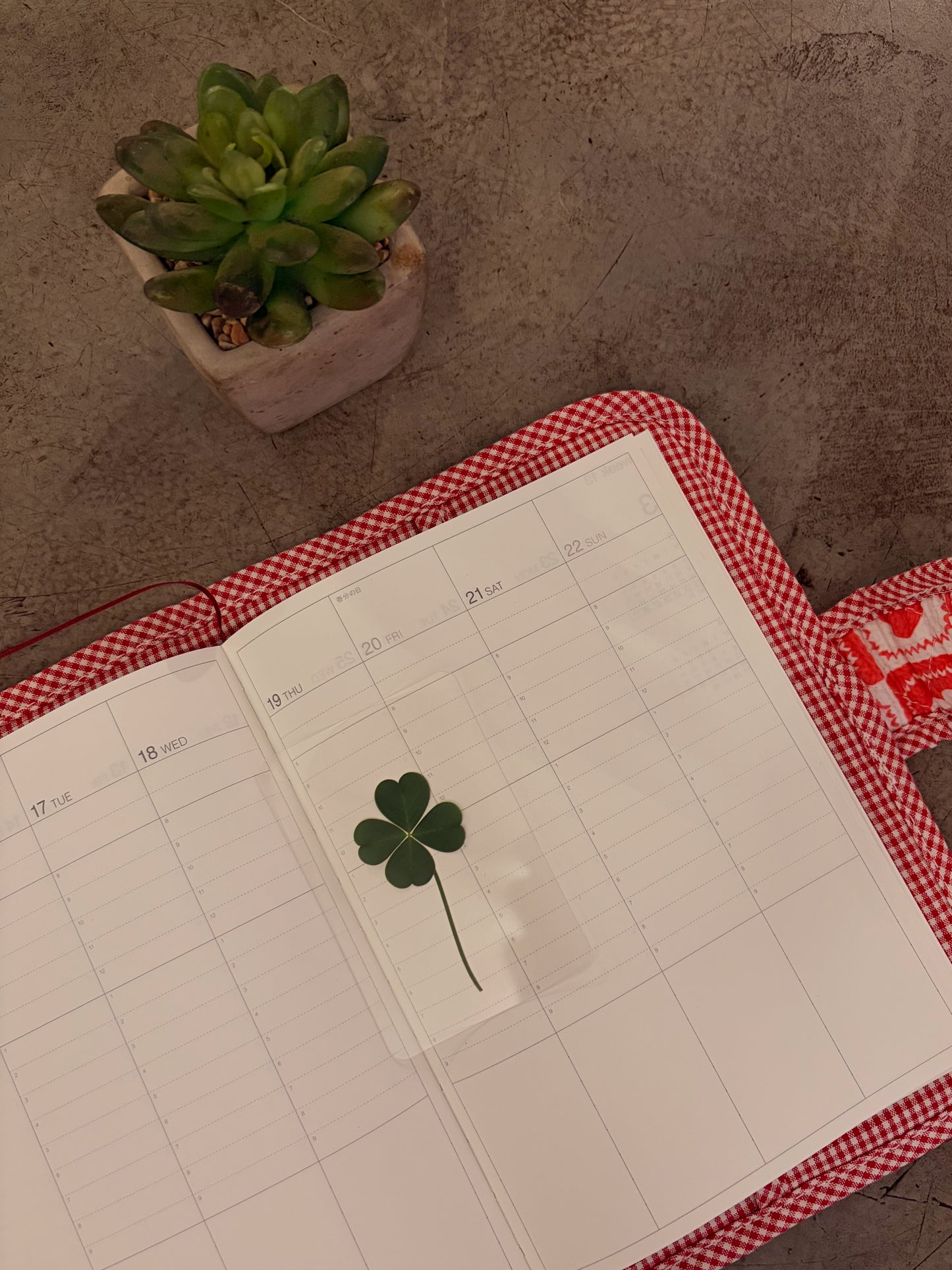 KEiKI Lucky Clover Card