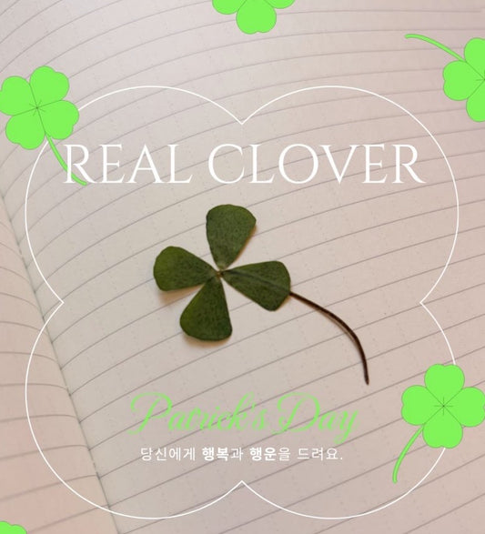 Keiki real clover
