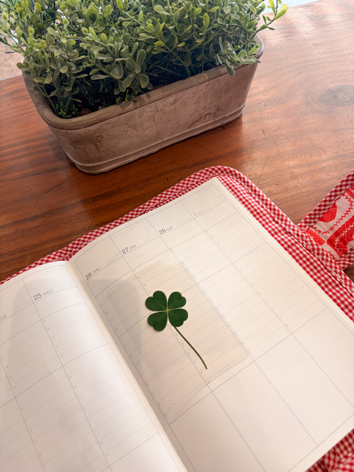 KEiKI Lucky Clover Card