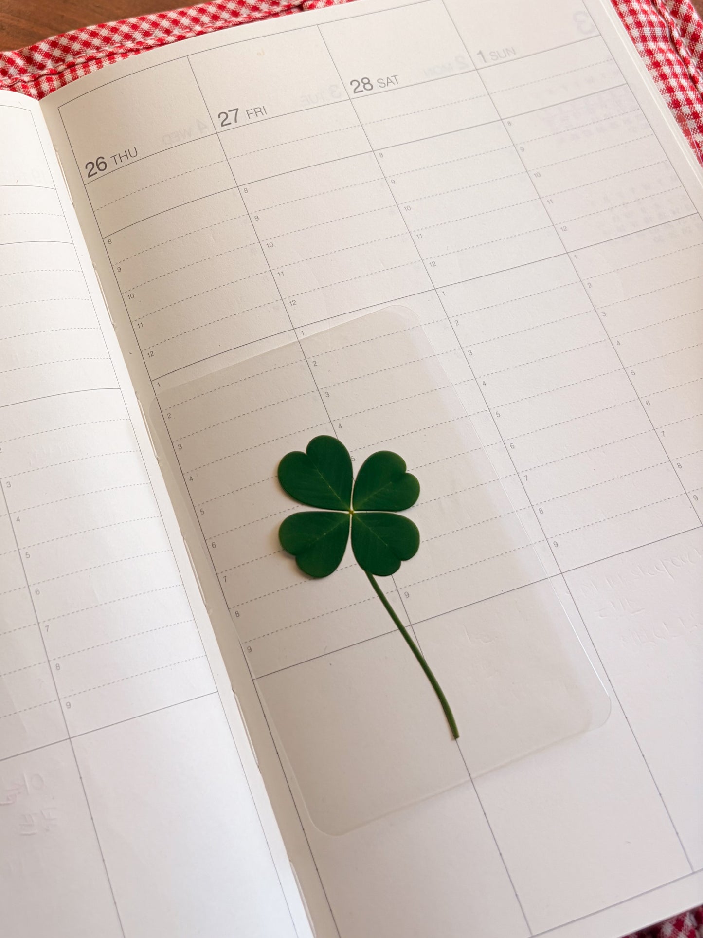 KEiKI Lucky Clover Card